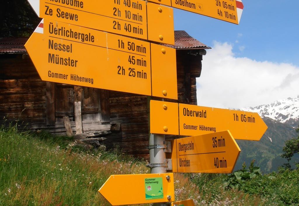 Hotel Grimsel Obergesteln Bagian luar foto