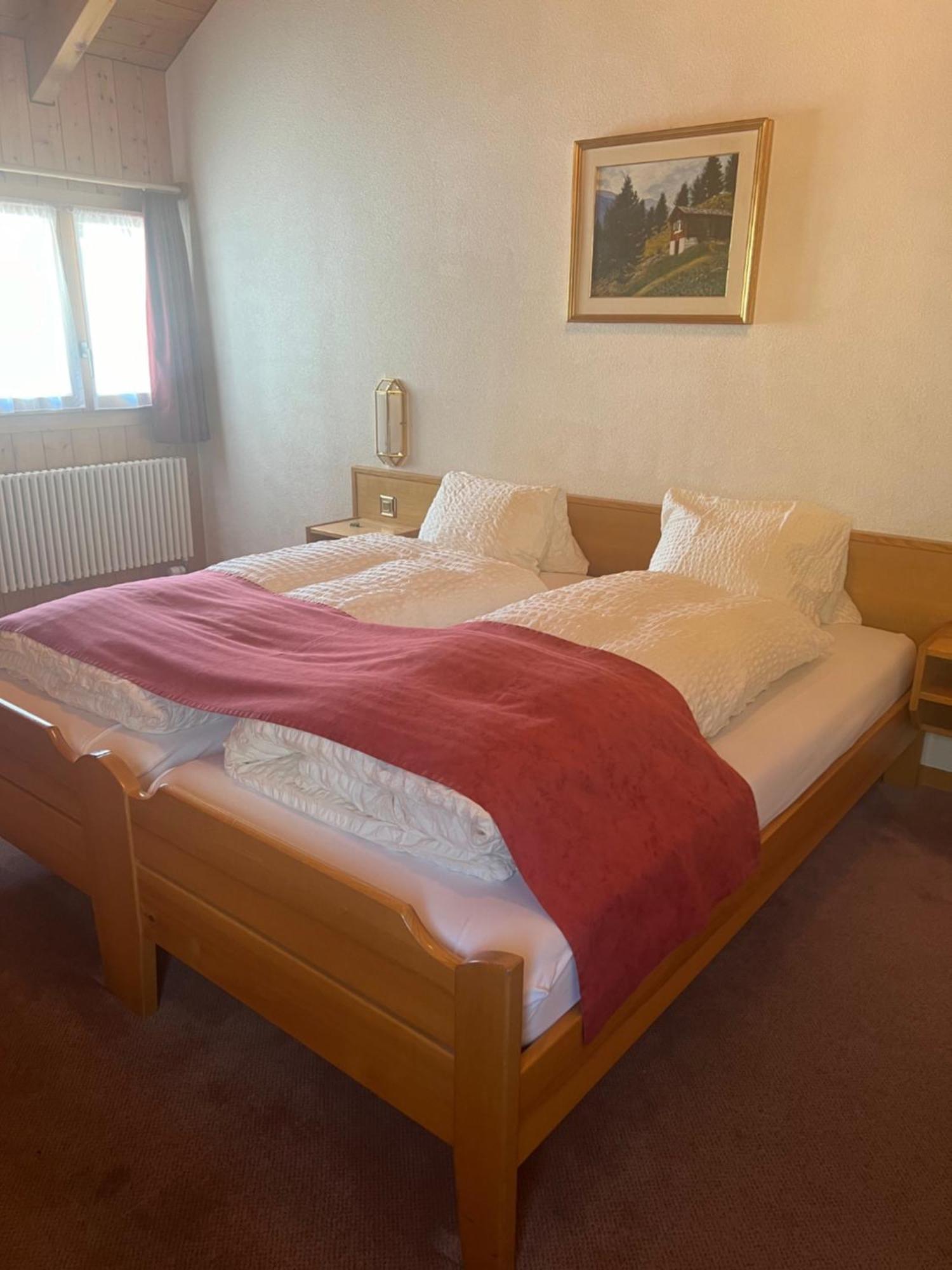 Hotel Grimsel Obergesteln Bagian luar foto